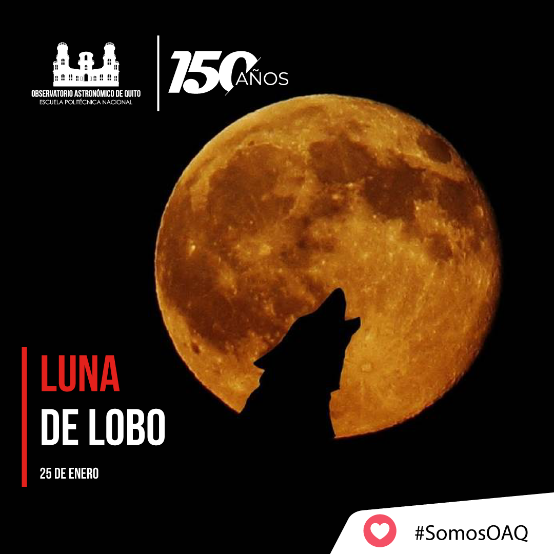 BOLETÍN DE PRENSA: Luna de Lobo