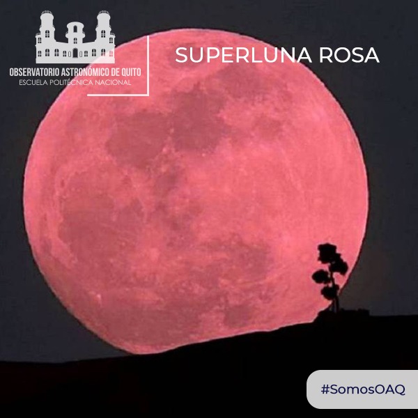 Superluna Rosa