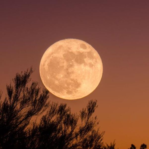 BOLETÍN DE PRENSA: Luna de la cosecha