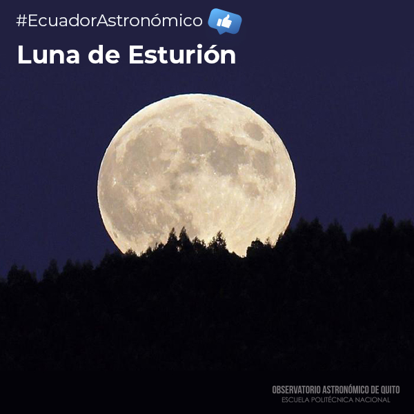 BOLETÍN DE PRENSA: Luna de Esturión