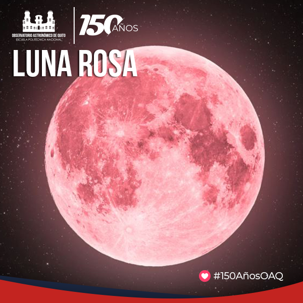 BOLETÍN DE PRENSA: Luna Rosa