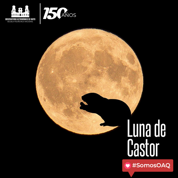 BOLETÍN DE PRENSA: Luna de Castor