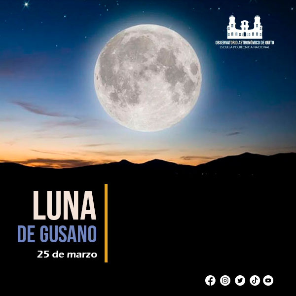 BOLETÍN DE PRENSA: Luna de Gusano