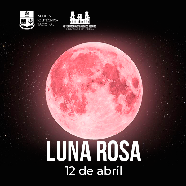 BOLETÍN DE PRENSA: Luna Rosa
